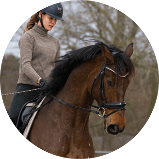 Voltis Handorf Sudmuehle derby community profil